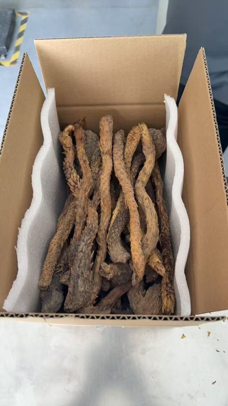 新疆大芸肉苁蓉沙漠人参药食同源产地一手货源批发零售