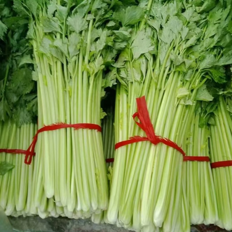 小西芹
