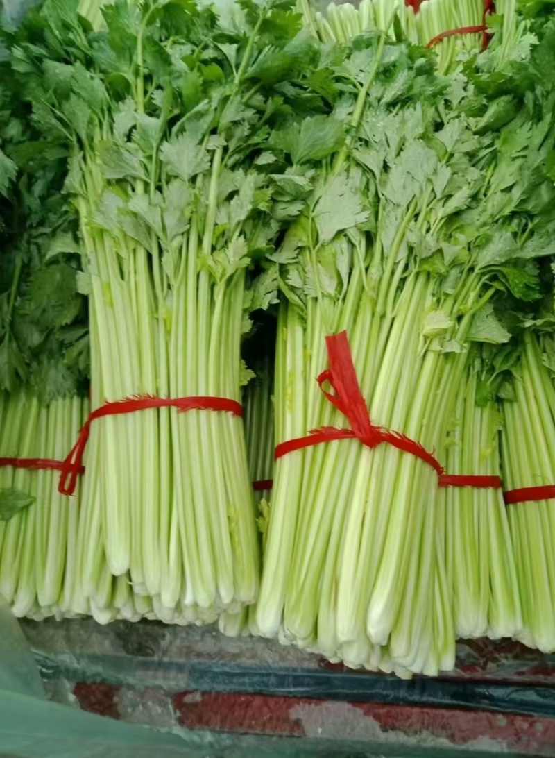 小西芹