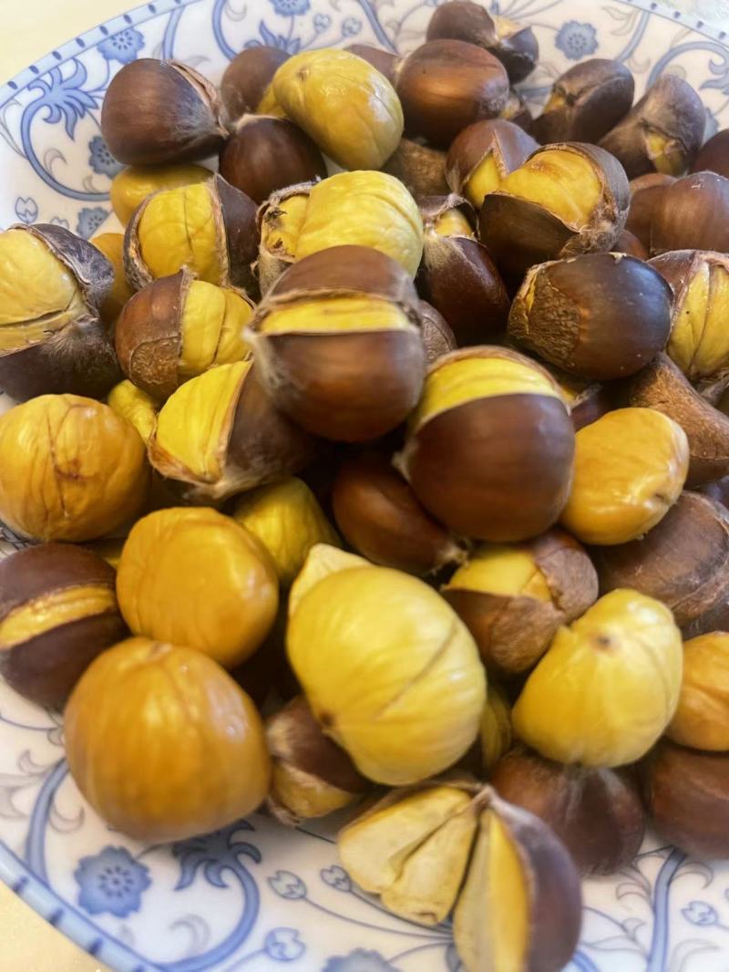老树毛栗子