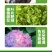 硫酸钾农用钾肥52%叶面肥果树蔬菜花卉通用肥
