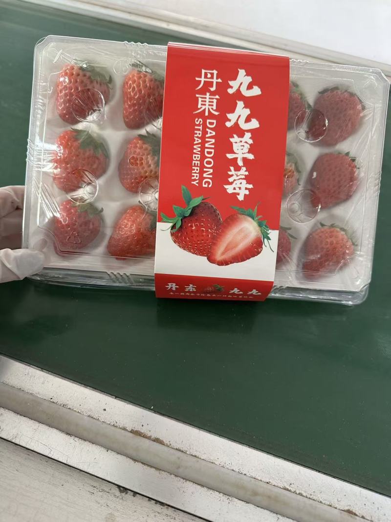 丹东九九草莓精品二合一礼盒对接全国市场量大从优欢迎采购