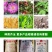磷酸一铵55%增产增收保花促果10-45-0磷肥
