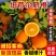 【纽荷尔脐橙】湖北产区大量供应，欢迎老板们来电咨询！