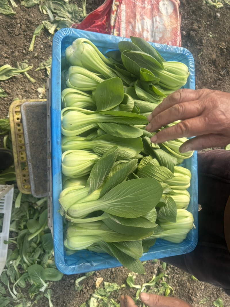 联系我