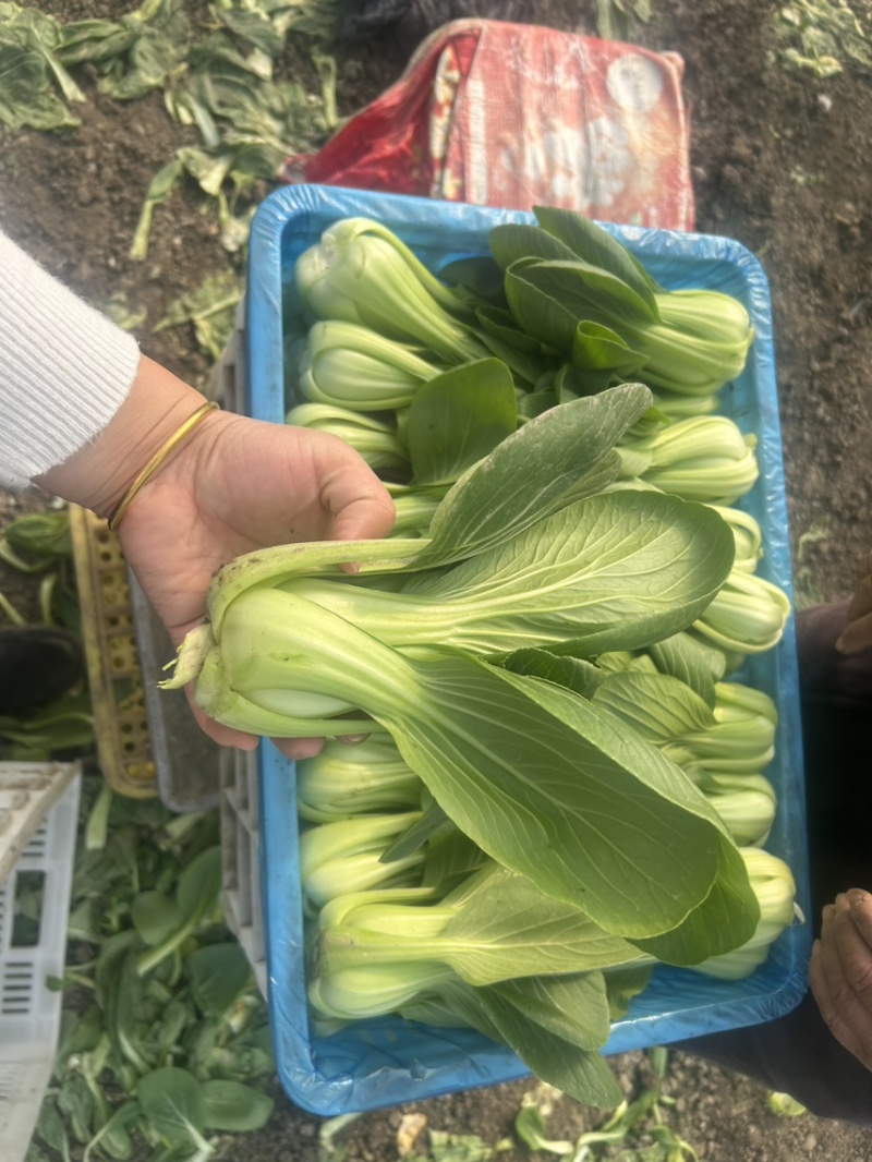 联系我