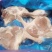 六和25/1-2大鸭腿，40吨，4600/吨