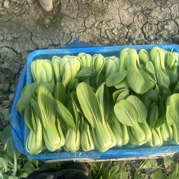 联系我