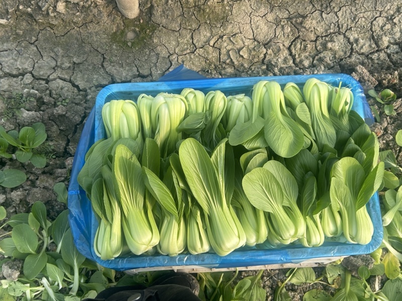联系我
