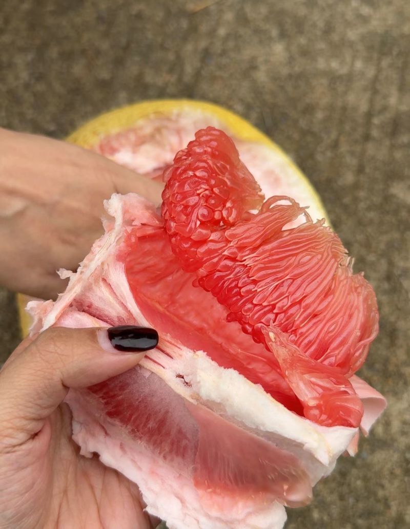 马家柚