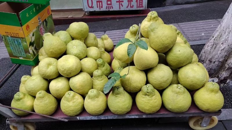 真龙柚一件代发纯甜无酸脆嫩化渣产地直供柚子大量有货