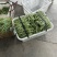 精品无茎豆量大量大量大价格优美