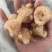 炮天雄正品四川炮货天雄