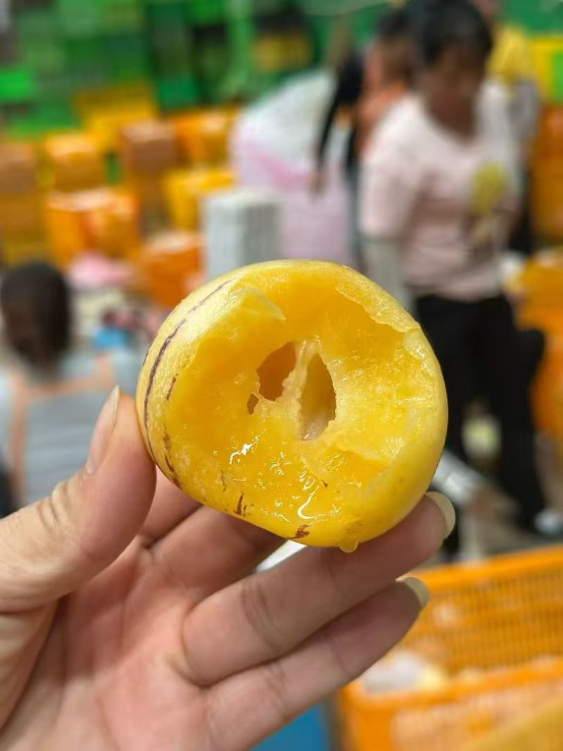 云南树熟人参果圆果