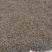 2025年新茶油仔野生茶球茶籽茶仁小籽品种干茶籽