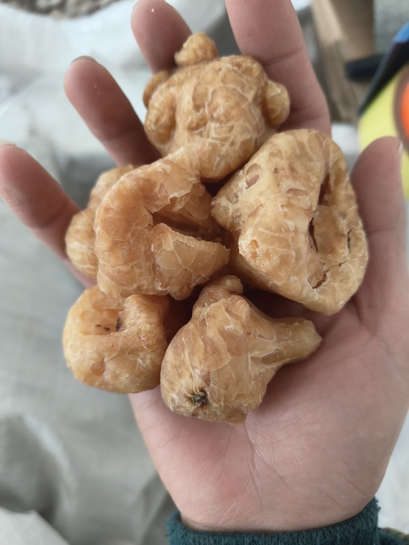 炮天雄正品四川炮货天雄