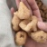 炮天雄正品四川炮货天雄