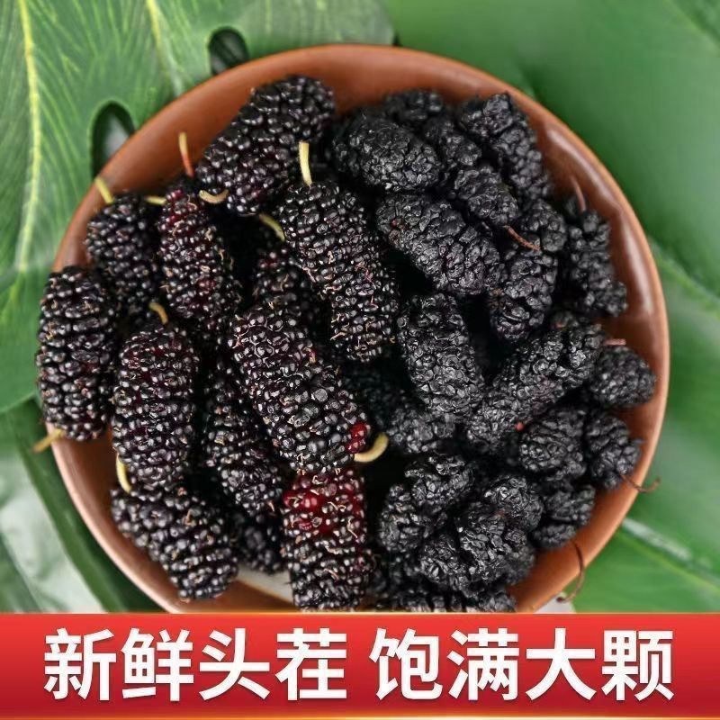 【大粒】新疆野生桑葚干黑桑葚黑桑椹干免洗无沙果干泡水