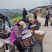 耙耙柑又名春见，现在大量定货中，12月大量上市囗惑纯甜品