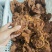 小块五香牛肉_清真黄牛肉无科技传统卤制肉质细腻劲道