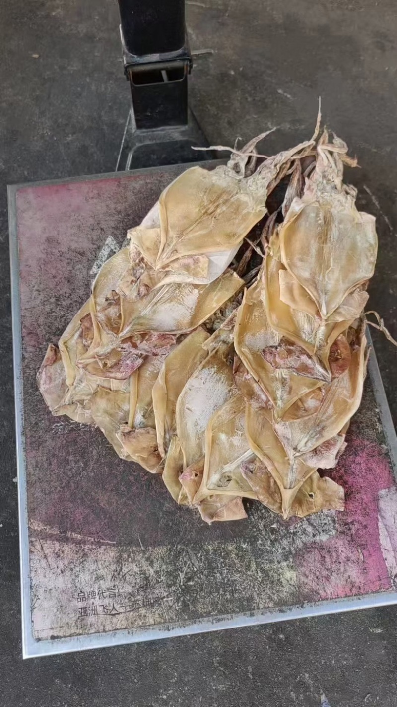带头带尾鱿鱼跑江湖鱿鱼淡干整只批发渔民自晒纯干鱿鱼