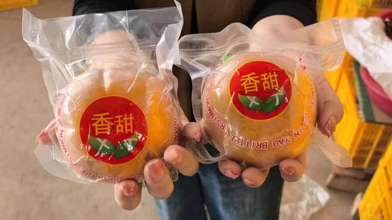 《广西脆柿》真空包装/一件代发/电商货源/淘宝直播京东