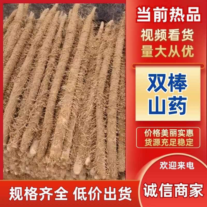 双棒山药一手货源产地直发量大价优欢迎致电咨询