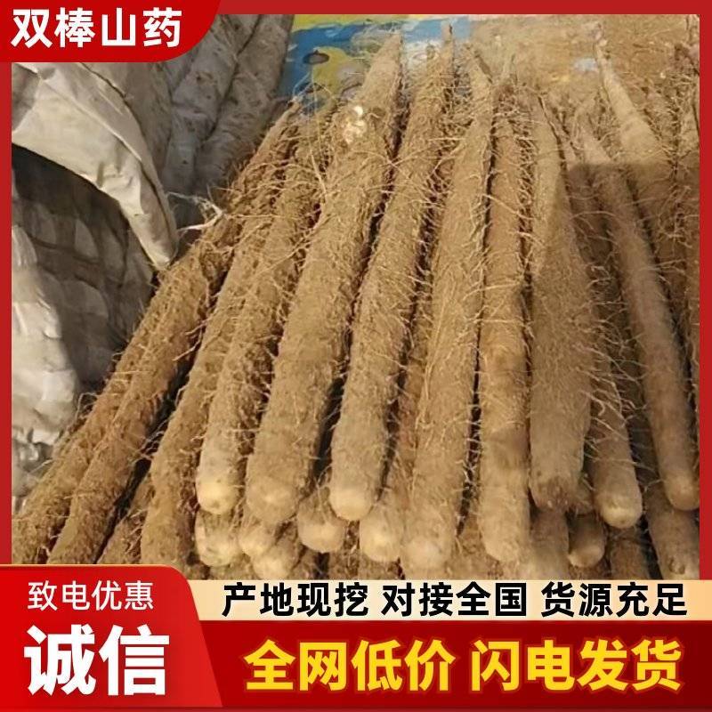 【产地直发】新鲜双棒山药二三路大货规格齐全无中间商赚差