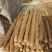 河南安阳双棒山药大量接单产地直发品质保证欢迎来电