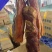 夹子肉猪肉腊猪肉烟熏猪肉