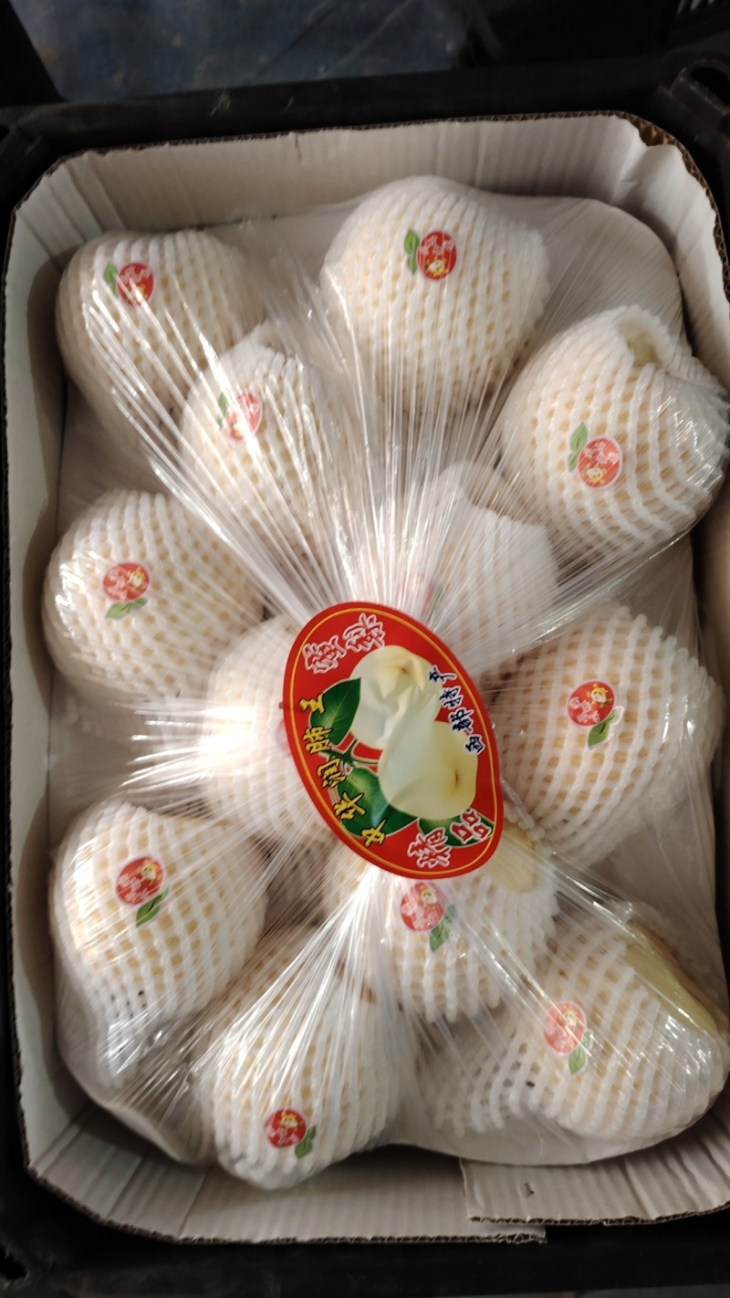 平遥酥梨，山区货，皮薄，肉细，核小，口感好，果面干净，