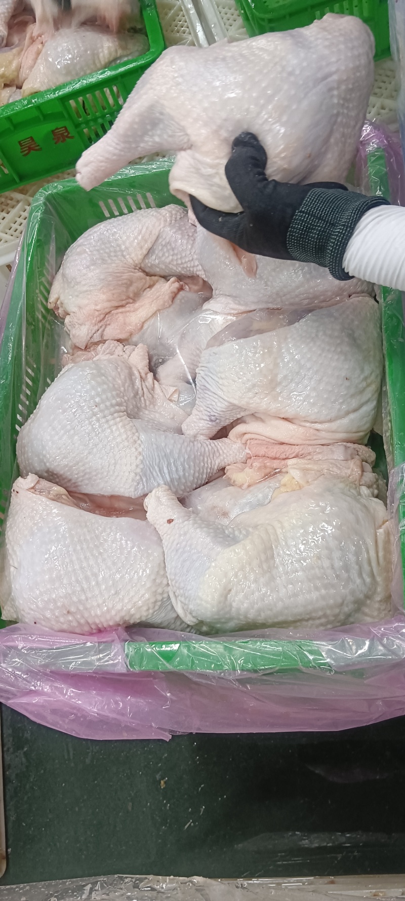 老鸡边腿