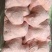 老鸡边腿