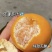 沃柑大量有货基地直供品质优现摘现发可视频看货欢迎咨询来电