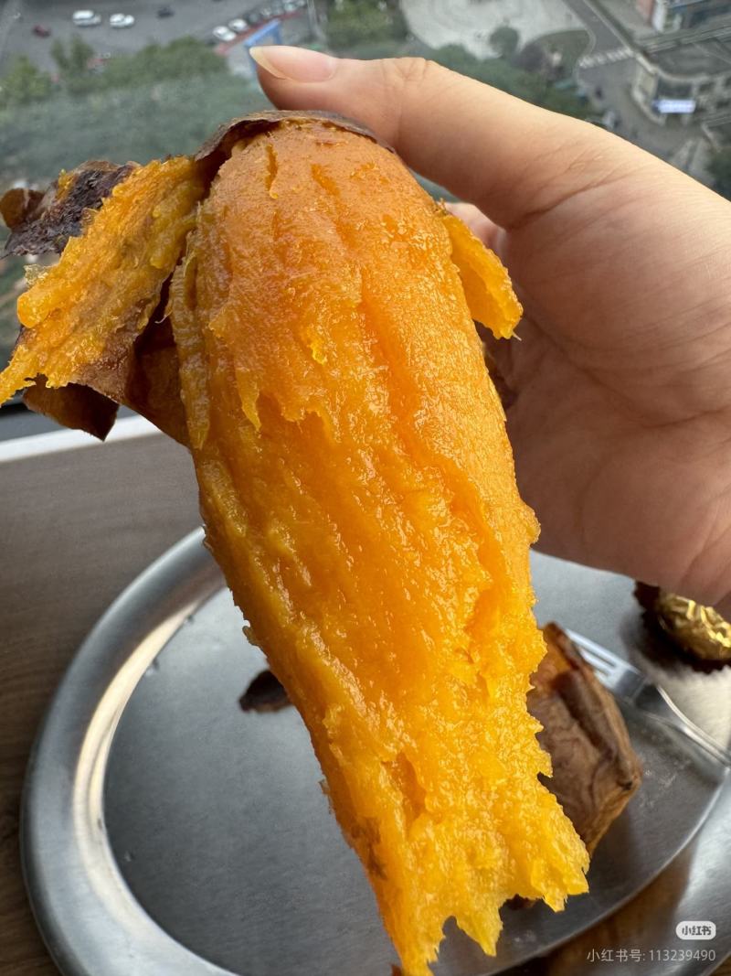 山东烟薯25