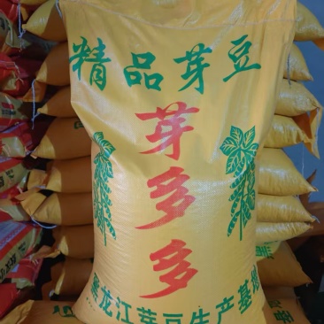 芽豆78斤东升一号690小金黄芽豆东北生芽黄豆高发芽率
