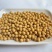 芽豆78斤东升一号690小金黄芽豆东北生芽黄豆高发芽率