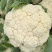 （精品）安徽宿州产区小米花菜，乳白，大量从优