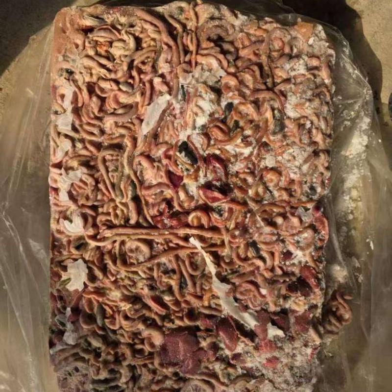 817鸡肠现货36吨1400一吨工厂直发