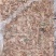 817鸡肠现货36吨1400一吨工厂直发