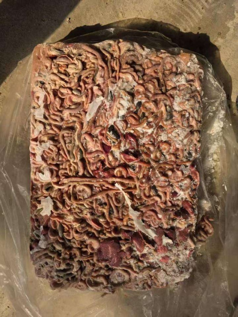 817鸡肠现货36吨1400一吨工厂直发