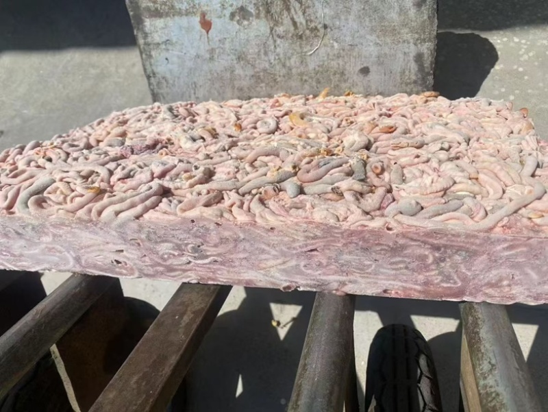 817鸡肠现货36吨1400一吨工厂直发
