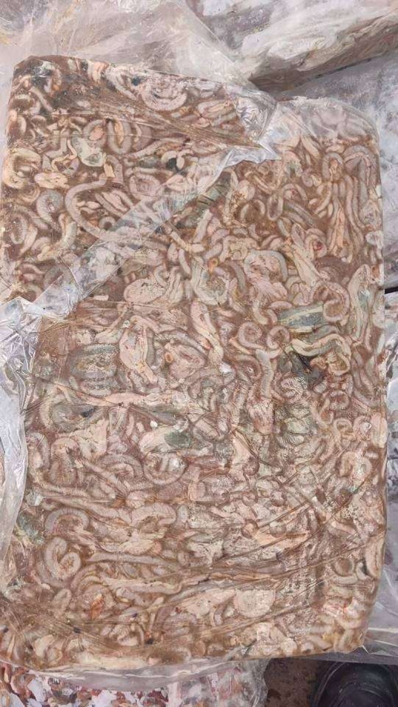 817鸡肠现货36吨1400一吨工厂直发