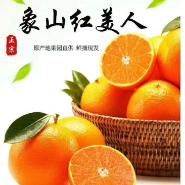 象山红美人