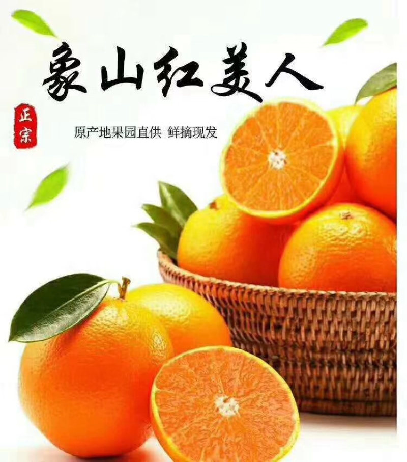 象山红美人