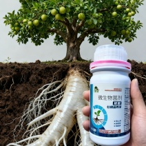 微生物菌剂有效活菌数5亿/ml，液体