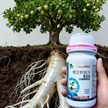 微生物菌剂有效活菌数5亿/ml,液体
