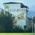 融安金桔自己种植园代办代收代出货