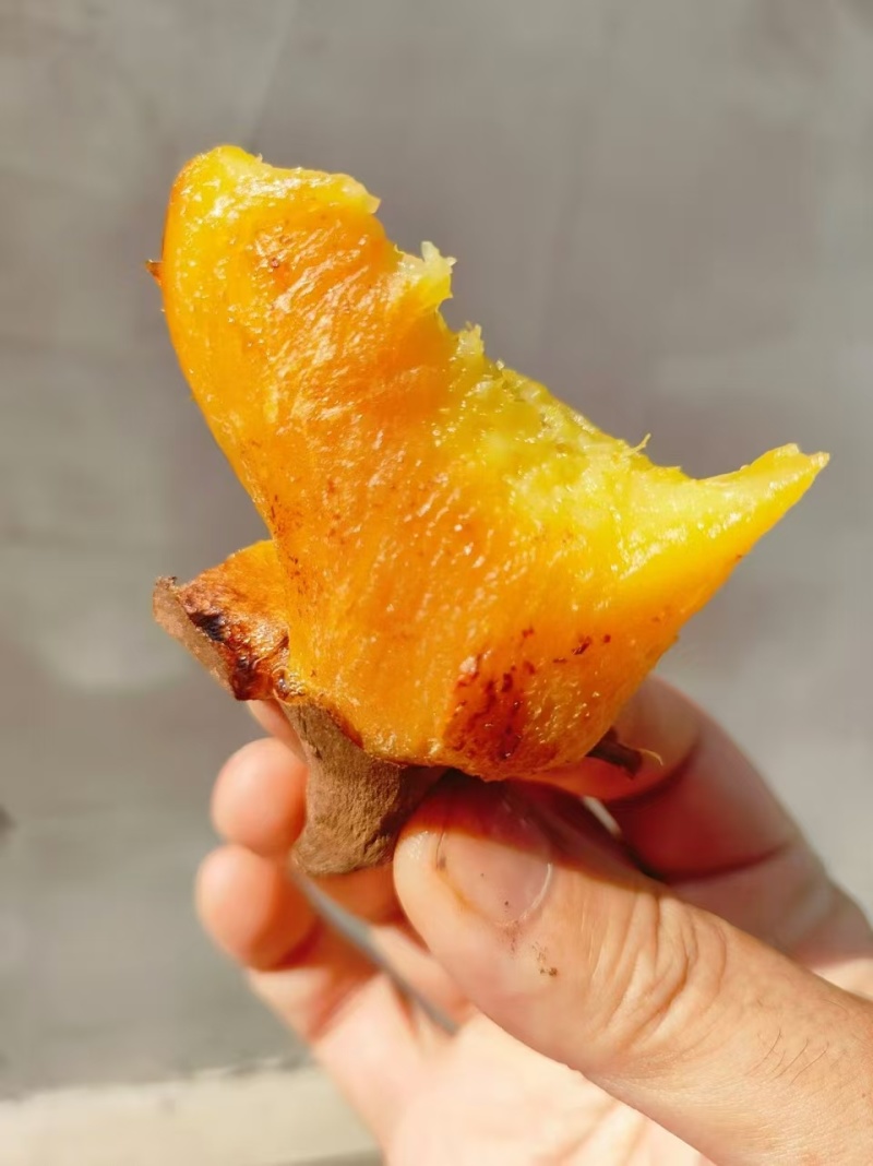金沙榴莲蜜薯产地直发货源
