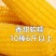 【国企农投】25年东北糯玉米新鲜玉米棒黏苞米真空独立新鲜